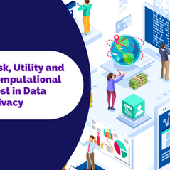 Risk, Utility and Computational Cost in Data Privacy