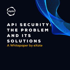 API Security: The Problem and its Solution | Part III