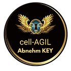 Logo-Abnehm KEY