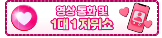 1:1 영상데이트