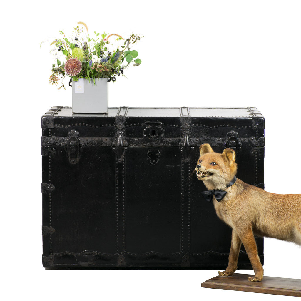 French Black Antique Steamer Trunk Case