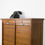 Thumbnail: Mid 20th Century French File Cabinet