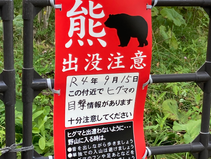 札幌ドームの熊さん