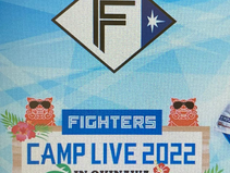ファイターズキャンプLIVE