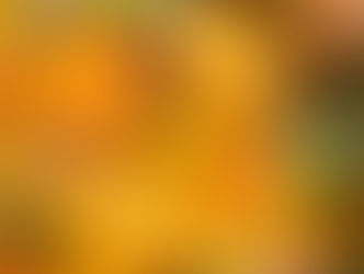 黄色なラタトゥイユ
