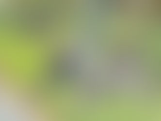 １０月臨時休業のお知らせ