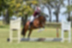 Kate jumping
