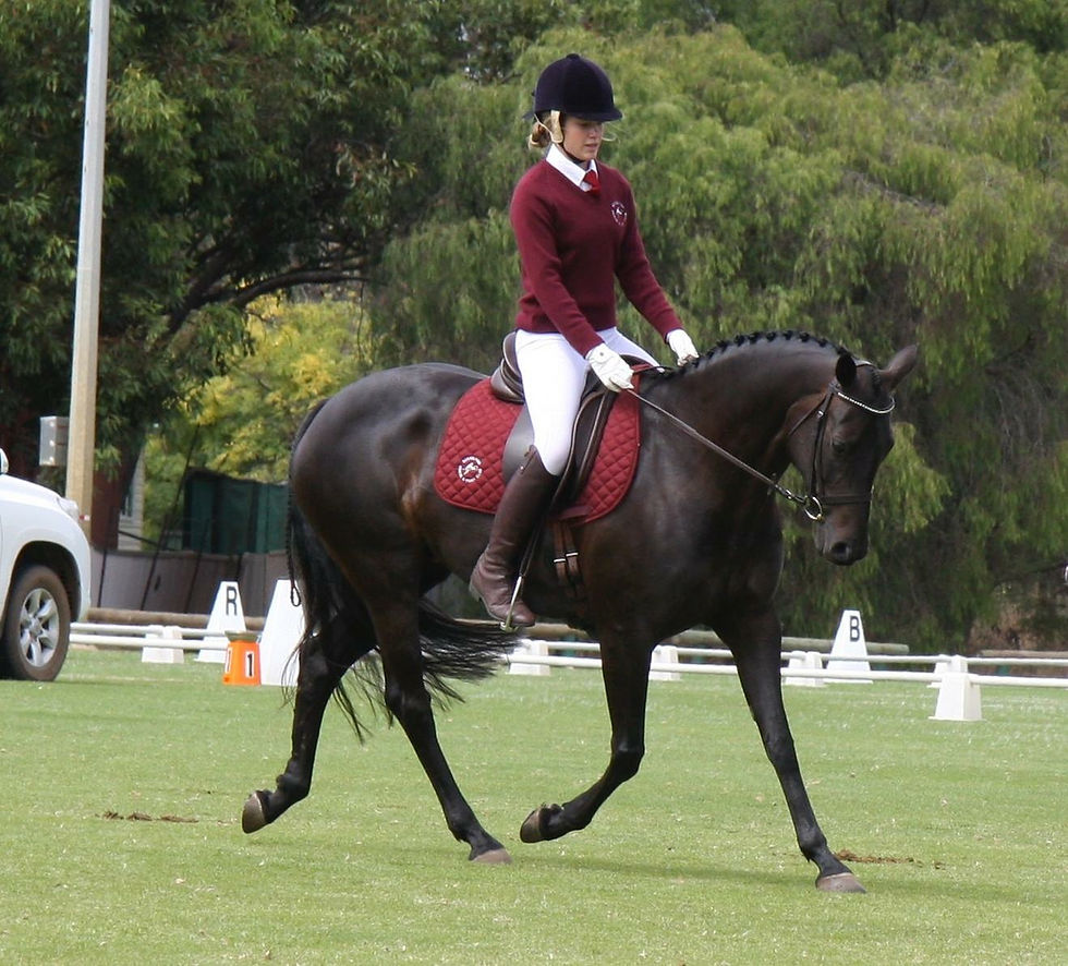 Dressage riding is for all ages