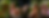 Leafy's Feet Banner.png