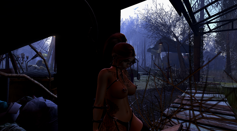 Snapshot_005