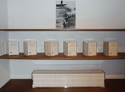 Costa Plexi (Décapage) 2_edited.jpg