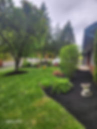 5c3e894c-b625-4519-957e-01255ae7ee36.jpeg