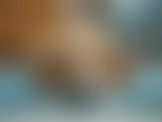 Ausbildung bei Canesano AG: Ihr Weg zur Hundetherapie