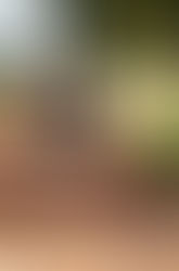 LOOK DO DIA: Meia arrastão