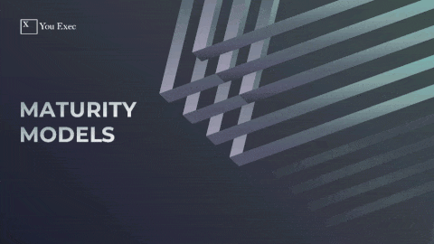 Business Maturity Model