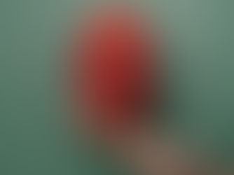 Wie du den roten Faden in deiner Bachelor- oder Masterarbeit sicherstellst.