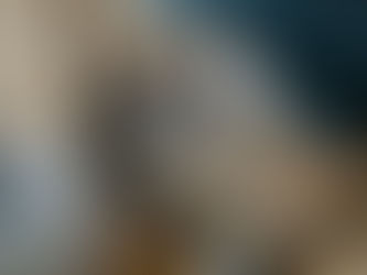 Legalität des wissenschaftlichen Ghostwritings