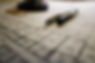 DSC03742.jpg