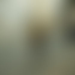 10 Ways to Reduce Your Carbon Footprint Today!