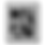 Thumbnail: Mono Cattle Feeding
