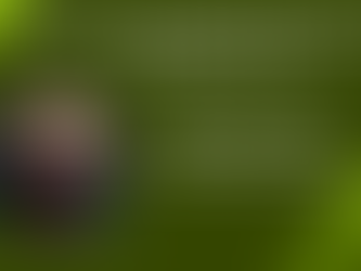 Codes of Ethics, Legal Authority, and You: A Practical Guide for Nurses