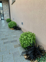 IMG_7128.jpeg