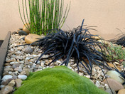 IMG_7136.jpeg