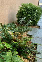 IMG_7125.jpeg