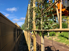 IMG_5673.jpeg