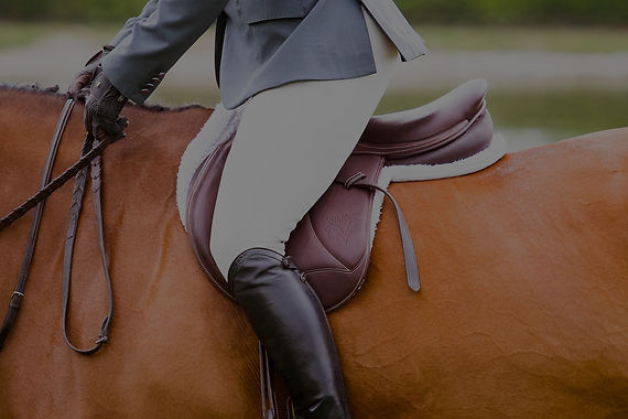 quality custom saddlery for sale - in nz