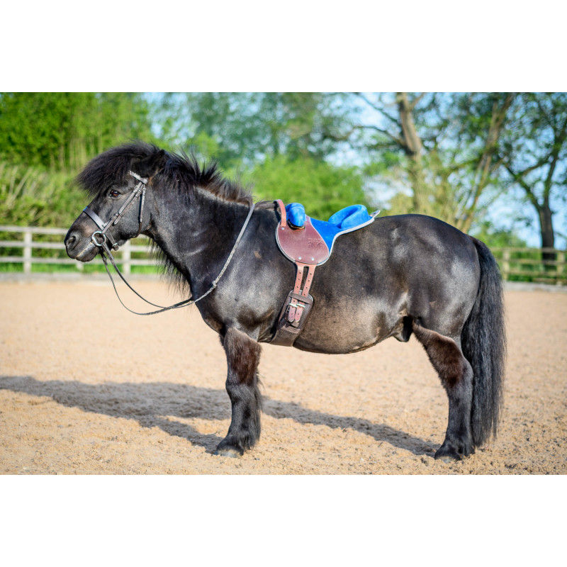 Thumbnail: Voltaire Design Bardette Saddle