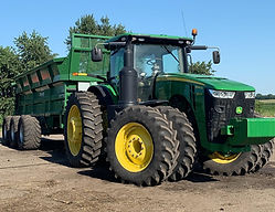 8345 bunning_edited_edited.jpg