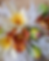 IMG_20220405_145053_249