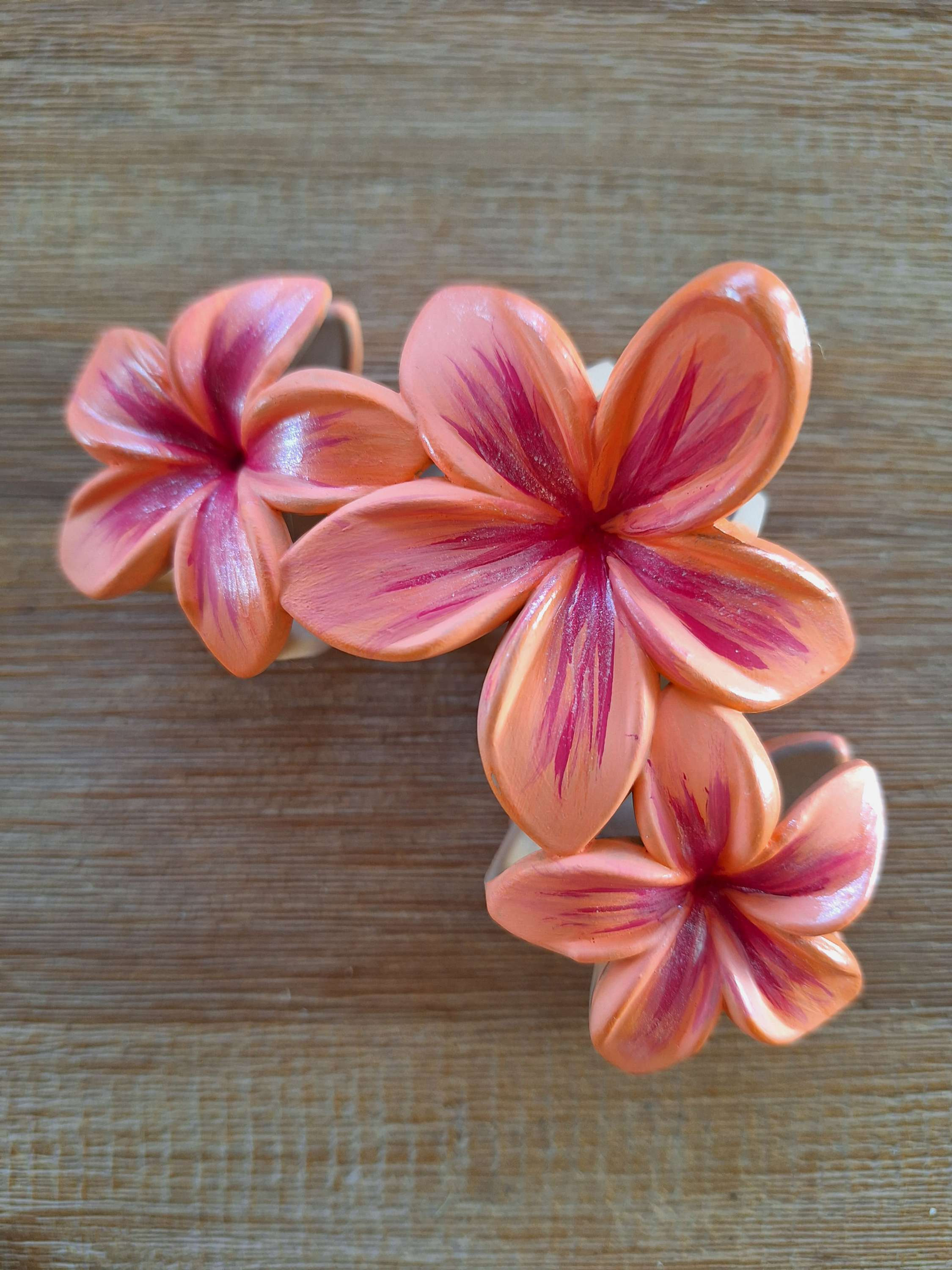 Garra de pelo plumeria al atardecer