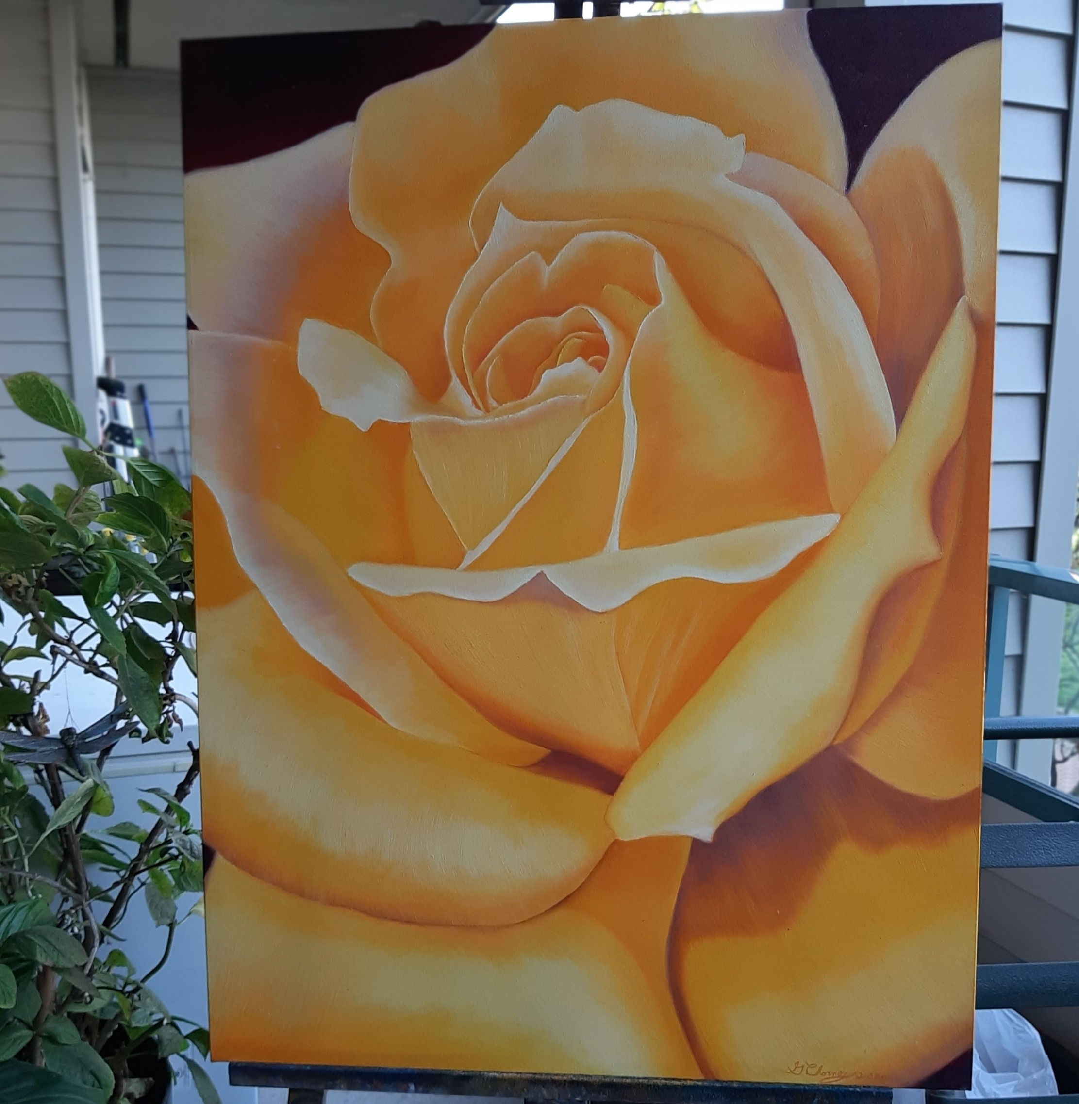 yellow rose oil painting