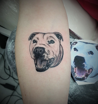 Eddie dog portrait.png