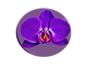 FlorLogo