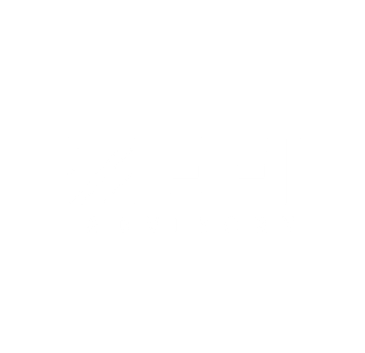 ZEFI Logo (3).png
