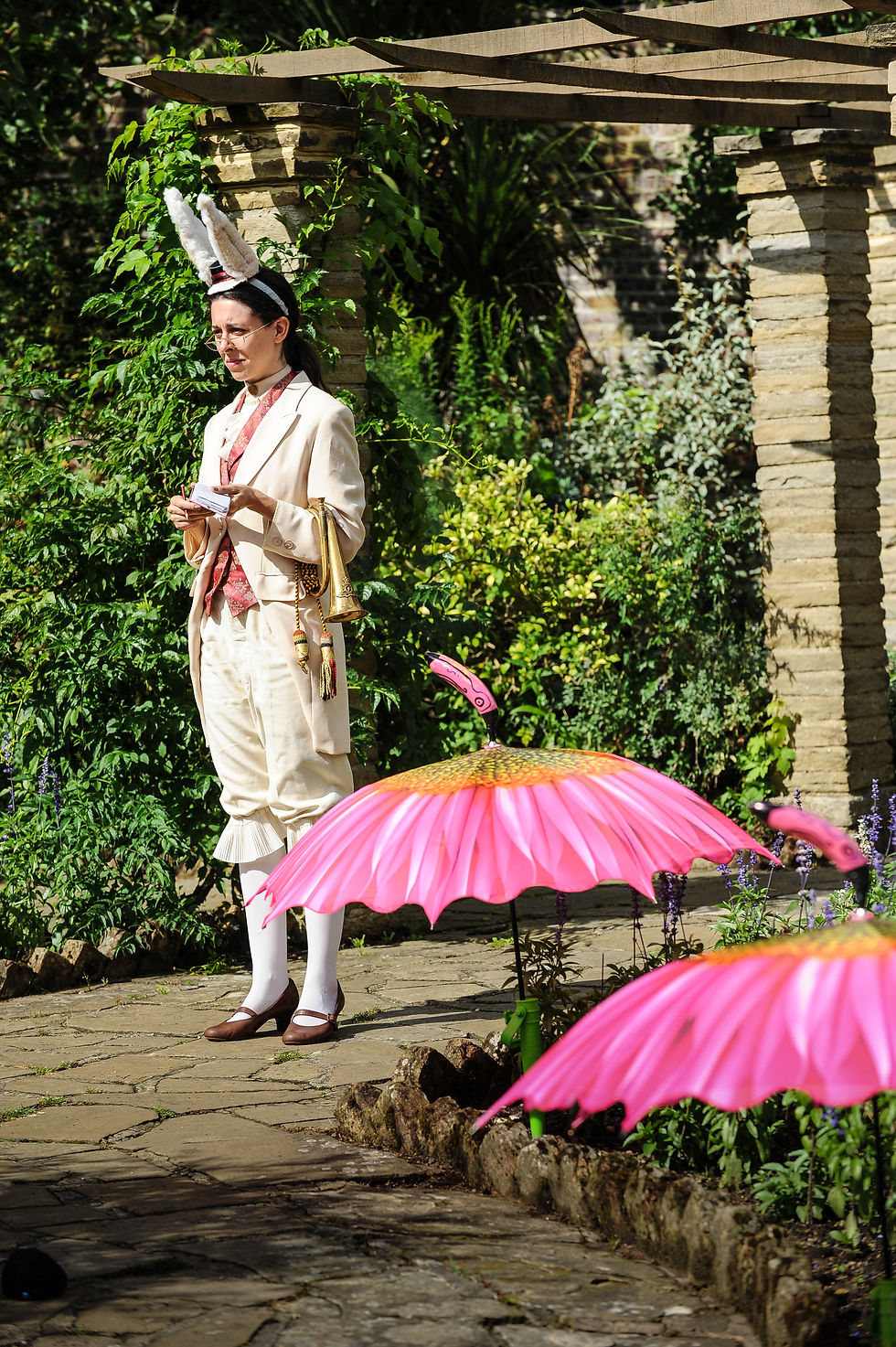 Flamingoes for Croquet