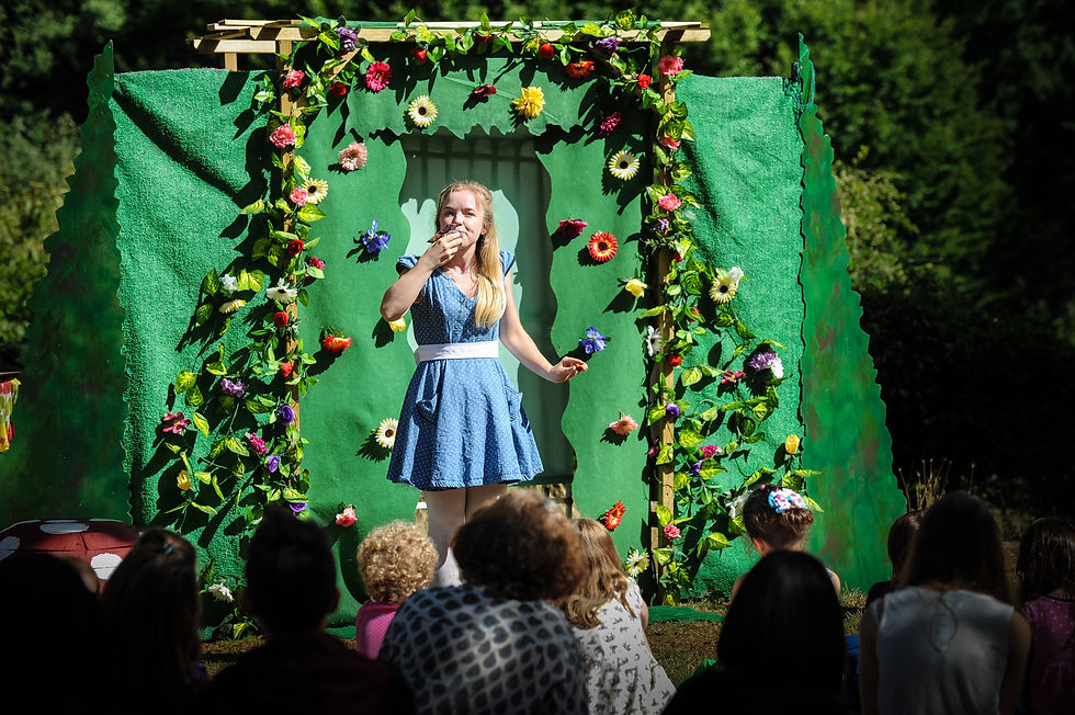 Alice in the Walled Garden