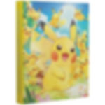 Pokemon: Japanese Pokemon Center Exclusive: Pikachu File Binder