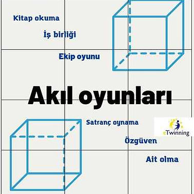 bbb8dfb37_opt.jpg