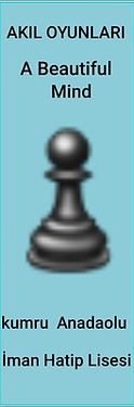 b7820c4cd_opt.jpg