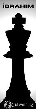 b79574485_opt.jpg