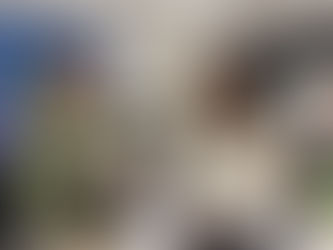 It's all in the family