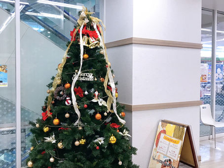 1Fにクリスマスツリーがやってきました♪
