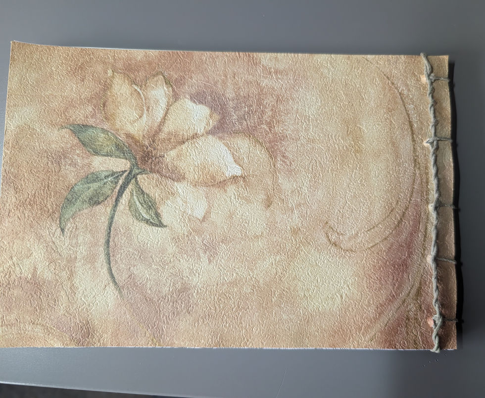 Back Cover of Sketch Book