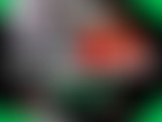 "Let's Talk Bible" Resume January 8, 2025! You don't want to miss it!