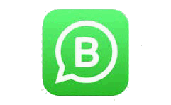 Whatsapp icon