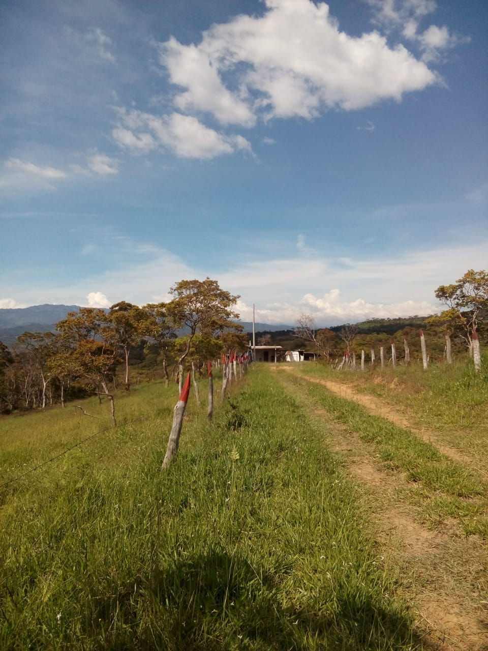 Miniatura: Finca en Venta Vereda Alto Cantando